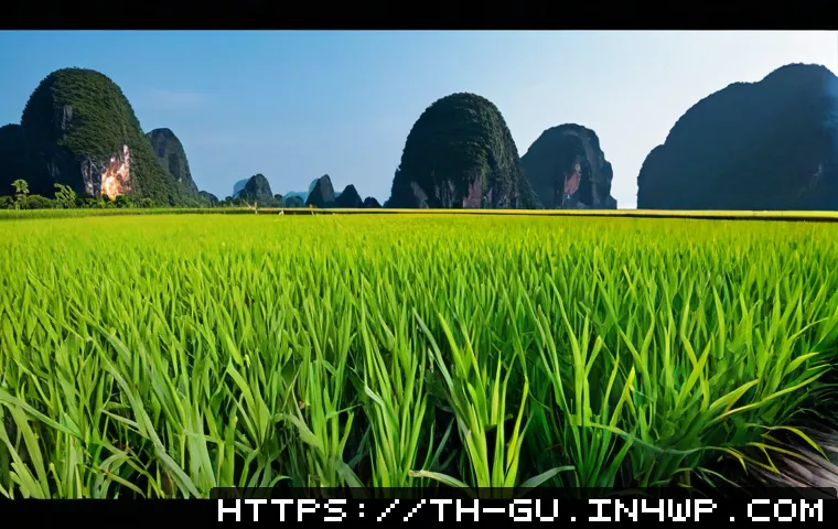ขยายพื้นที่สีเขียวในเมืองอย่างมีส่วนร่วม: วิธีออกแบบที่ตอบโจทย์ชุมชน งบประมาณ และการดูแลระยะยาว 4 도시 녹지 확장과 참여적 설계 방법 관련 이미지 2